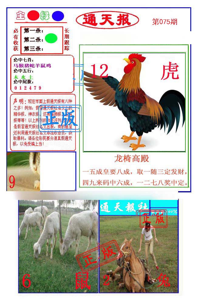 图片正在更新中……