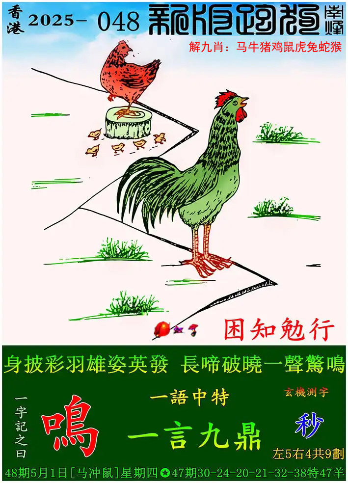 鿴ͼƬ