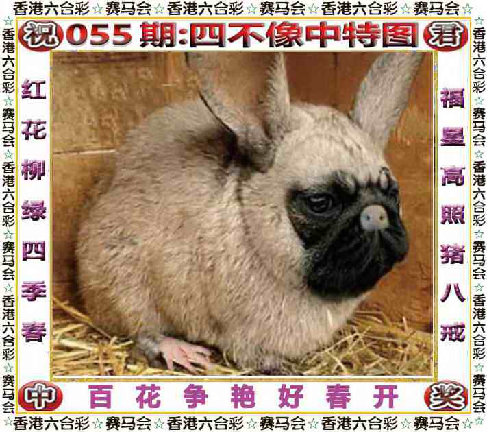 更新中...