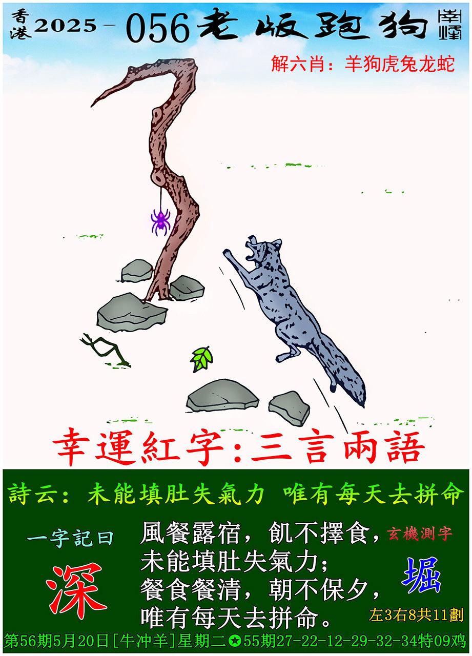 鿴ͼƬ