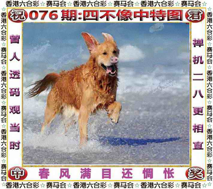 更新中...