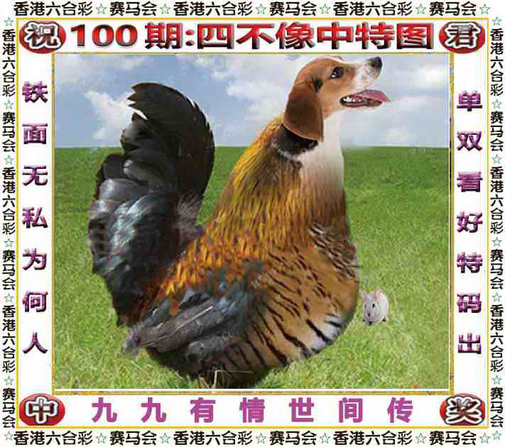 更新中...