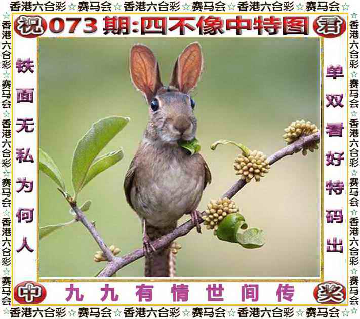 更新中...