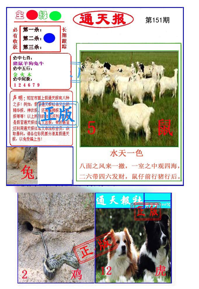 图片正在更新中……